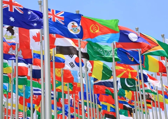 Banderas y colores entre nosotros