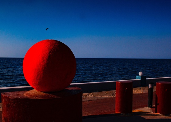 Gallery of  Photography by Pedro Meyer-Mexico