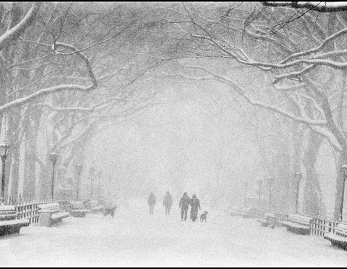 bruce davidson