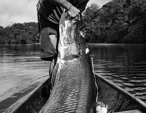 Galería de fotografía de Araquém Alcântara - Brasil