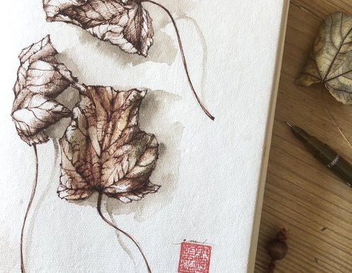 Gallery of Drawing by GiacoMina Ferrillo-Italy