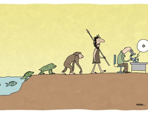 Galeria de Cartoon de Rafael Corrêa-Brasil