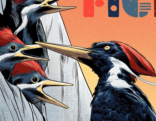 Galeria de ilustrações de Pedro Correa - Brasil