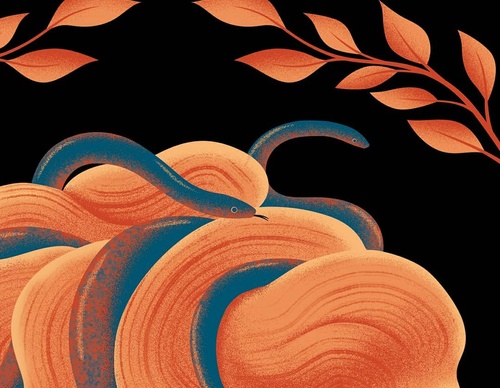 Gallery Of Illustration By Cat Finnie - England