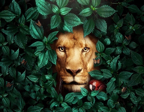 Galería de ilustraciones de Rafael Russano - Brasil