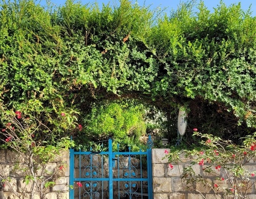 Galería de fotografía de puerta en Palestina