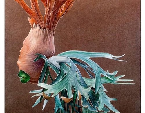 Gallery Of Visual Art By Carlo Batistella - Brazil