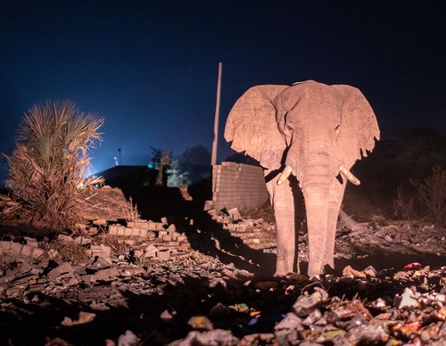 world press photo