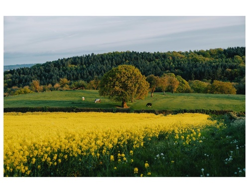 Gallery Of Photography By Daniel Casson - England