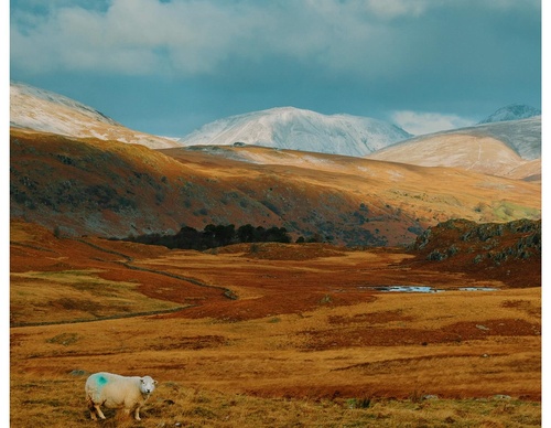 Gallery Of Photography By Daniel Casson - United Kingdom