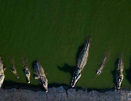 ap images middle east