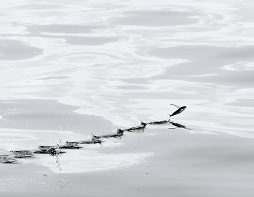 Gallery Of Photography By Alex Kydd - Australia