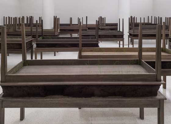 Doris Salcedo