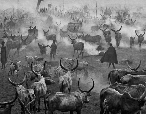 Galeria de Fotografia de Sebastião Salgado-Brasil