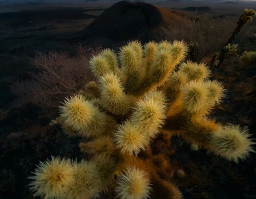 Galeria de Fotografia de Andres Valle - México