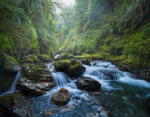 Galeria de fotografias de William Patino - Nova Zelândia