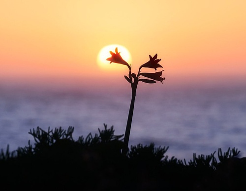 Gallery Of Photography By Rodrigo Viveros - Chile