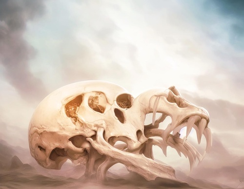 Gallery Of Illustration By Fabio Comparelli - Switzerland