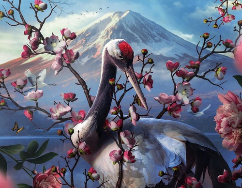 Galeria de ilustrações de João Cunico - Brasil