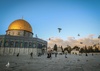 Galería de fotografías de Ameer abed rabbo - Palestina