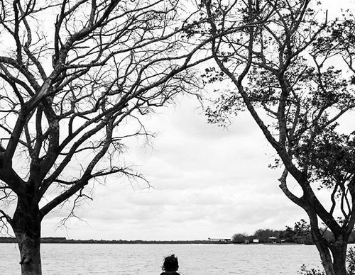 Gallery Of Photography By Luis Médici - Argentina