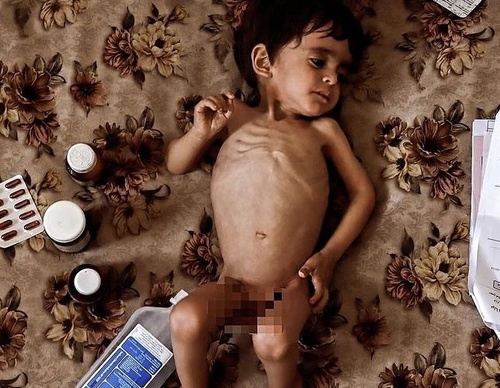 Galeria de Fotografia de Ahmed Al Arini - Palestina