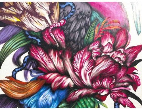 Gallery Of Street Art By Bailon - Brazil