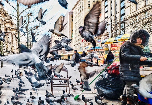 Gallery of Creative Photography by Michael Prince - USA