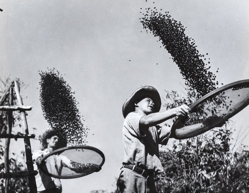Gallery Of Photography By Leo Matiz - Colombia