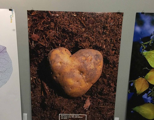 swiss posters