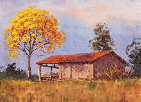 mario sergio freitas