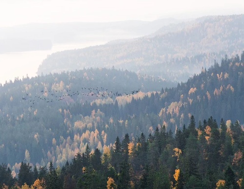 Gallery Of Photography By Elias Kalliola - USA