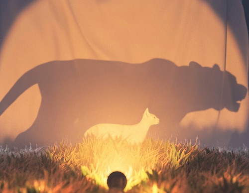 Gallery Of Illustration By Caleb Worcester - USA