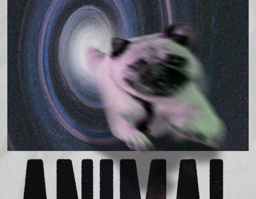 blank poster animal