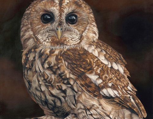 Galería de pintura realista de Annie Drew - Reino Unido