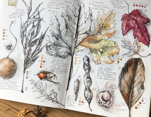 Gallery of Drawing by GiacoMina Ferrillo-Italy