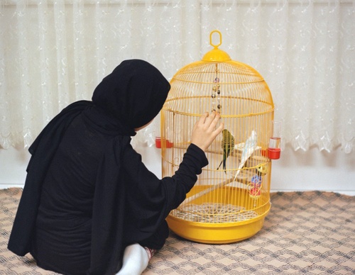sabiha cimen