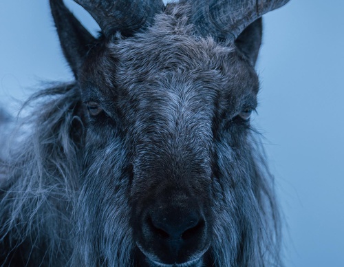 Gallery Of Photography By Chris Henry - USA