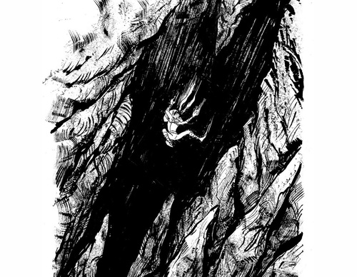 rodrigo rosa co brasil