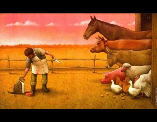 pawel kuczynski