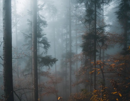 Gallery Of Photography By Marvin Walter - Germany