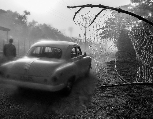 raul canibano