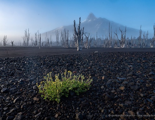 Gallery Of Photography By Gerhard Hüdepohl - Chile