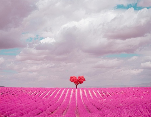 Gallery Of Photography By Paolo Pettigiani - Italy