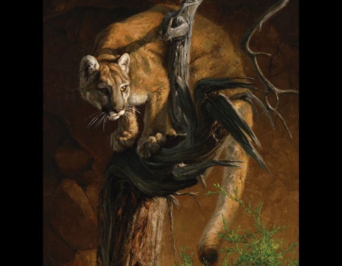 Gallery Of Painting By Greg Beecham - USA