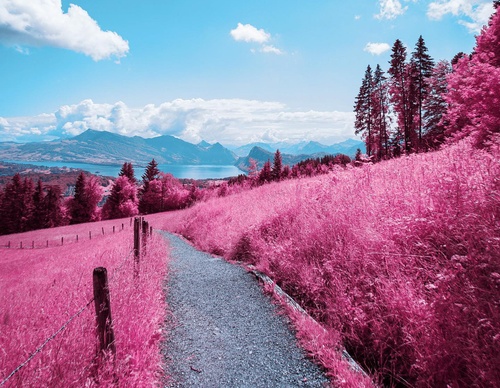 Gallery Of Photography By Paolo Pettigiani - Italy
