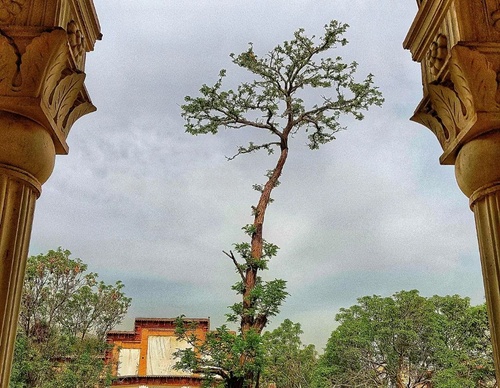 Galeria de fotografias de Maryam Piroozfar - Irã