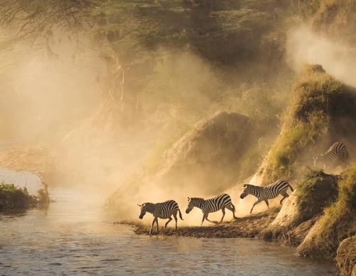 Gallery Of Photography By Emmett Sparling - Canada
