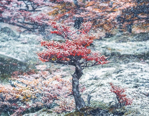 Gallery Of Photography By Marco Grassi - Argentina