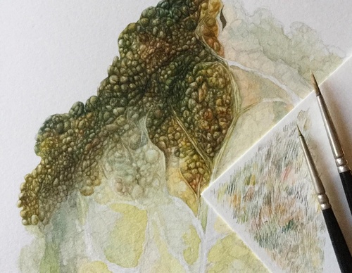 Gallery of Drawing by GiacoMina Ferrillo-Italy